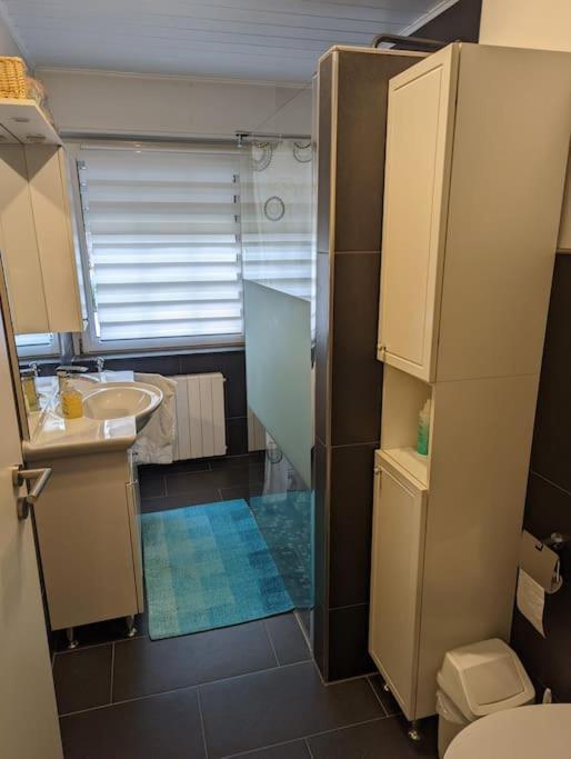 Ferienwohnung Philippi - Moselblick Mit Grosser Dachterrasse, 75 Qm, Hunde Willkommen Mehring  Exterior foto